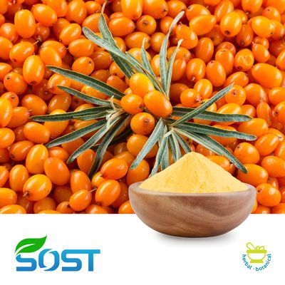Sea Buckthorn Juice Powder by SOST