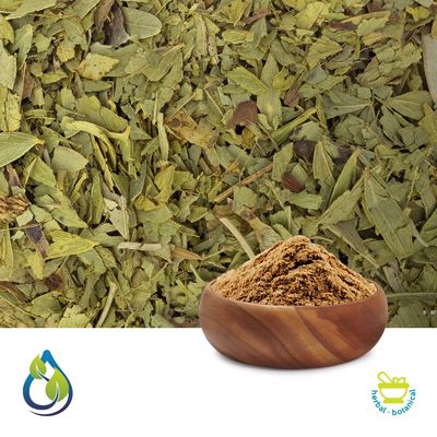Senna Extract 20% Sennosides by USP by S.A. Herbal Bioactives