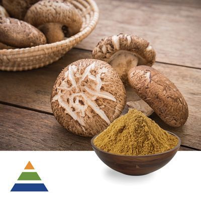 Shiitake Mushroom (Lentinus Edodes) Extract Polysaccharides 30% by KS Nutripharma