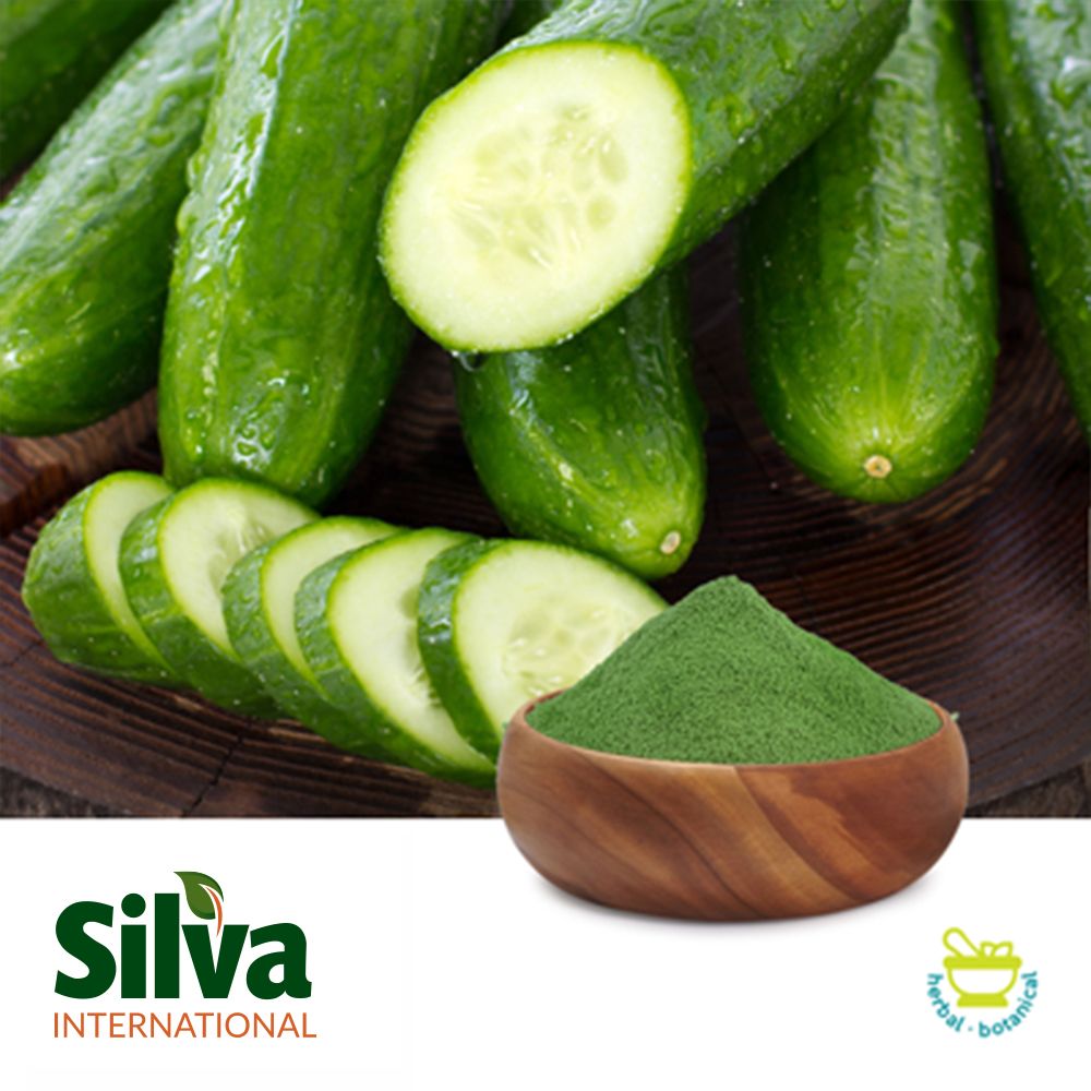 Cucumber Powder by Silva International