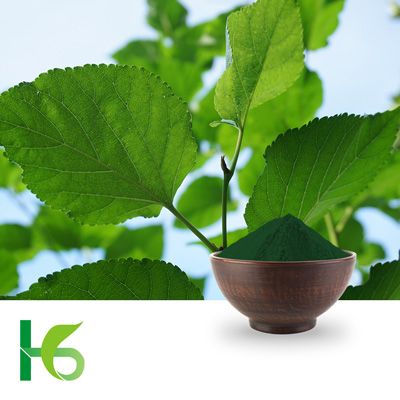 Sodium Copper Chlorophyllin by Shandong Hanxing Biotech Co.,Ltd