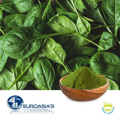 Spinach Powder by Euroasias Ingredients