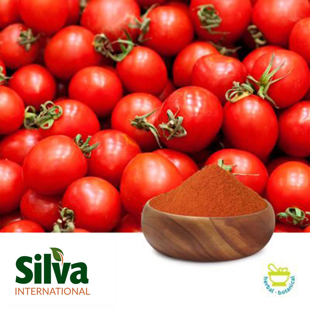 Spray Dried Tomato Powder by Silva International