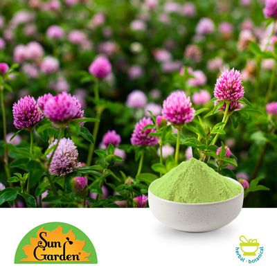 Sprouted Red Clover Powder by SunGarden