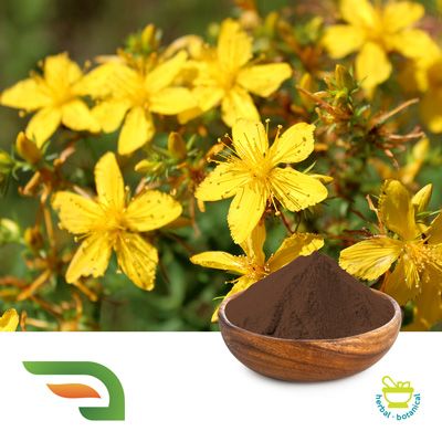 St. John's Wort Extract 0.3% Hypericin by Joywin