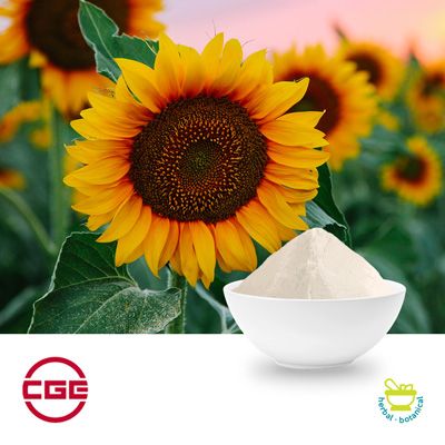 Sunflower Oil Powder (Sodium Caseinate) by CGE Healthcare