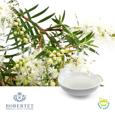 Tea Tree Oil by Robertet