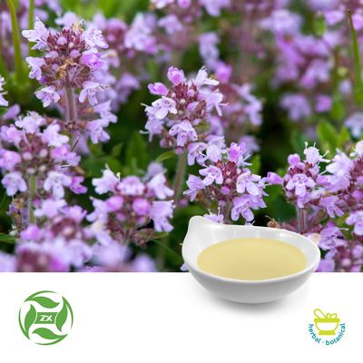 Thyme Oil by Ji'An Zhongxiang Natural Plants