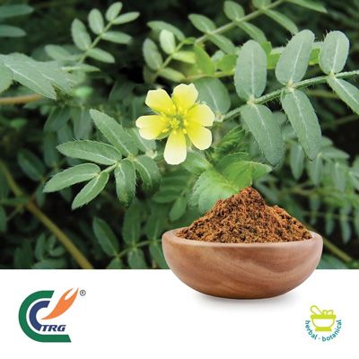 Tribulus Extract 95% Saponins by Hanzhong TRG