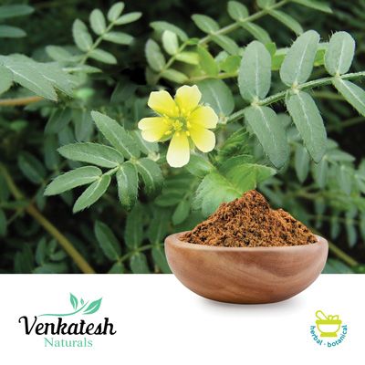 Tribulus P.E. 20% Saponins by Venkatesh Naturals