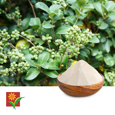 Guggul Extract 2.5% by Umalaxmi