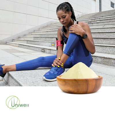 Soy Isoflavones 40% by Uniwell