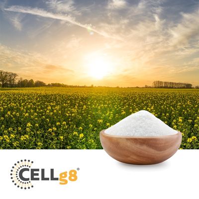 CELLg8® Vegan Vitamin D3 by CELLg8