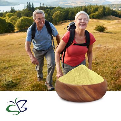 Vitamin K2 MK-7 1.3% Powder by Seebio