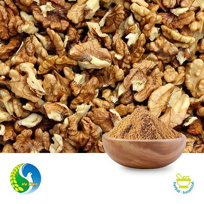 Walnut Protein 70% 300 Mesh by Panjin Hetian Food