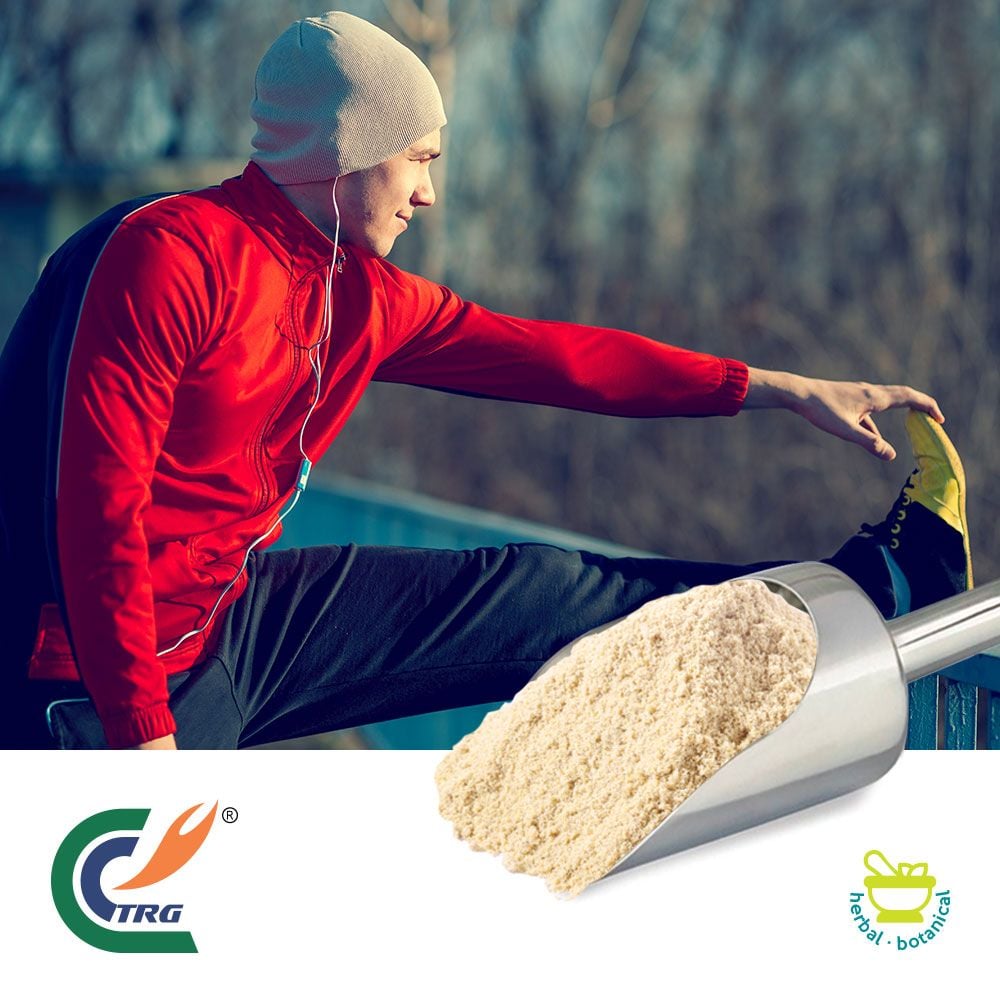 White Willow Bark Extract 15% Salicin by Hanzhong TRG