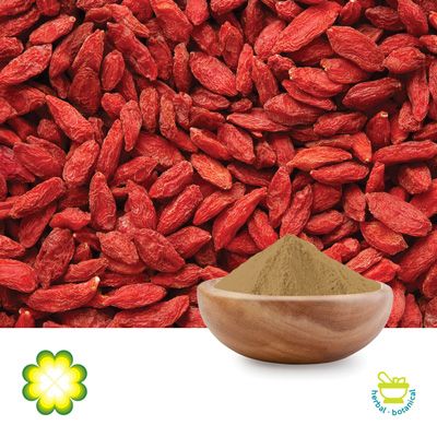 Wolfberry Extract 50% Polysaccharide by Xi’an Rainbow