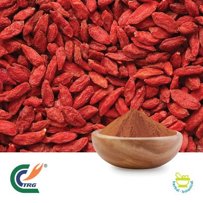 Wolfberry Extract 50% Polysaccharides by Hanzhong TRG