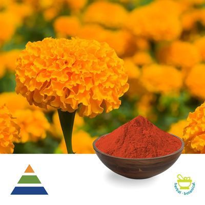 Zeaxanthin 5% Beadlets by KS Nutripharma