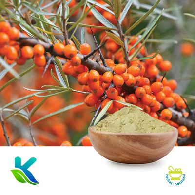 Sea Buckthorn Extract 10:1 by Hunan Naturext