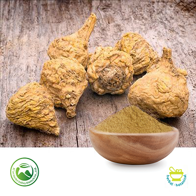 Maca Extract 10:1 by Xi'an Herbs Valley