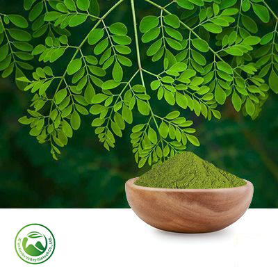 Moringa Leaf Powder by Xi'an Herbs Valley