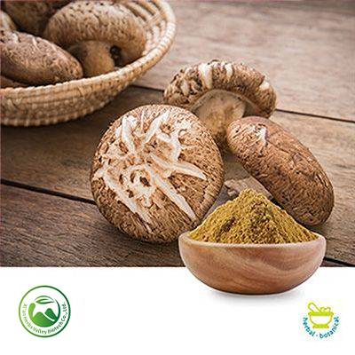 Shiitake Mushroom Powder by Xi'an Herbs Valley