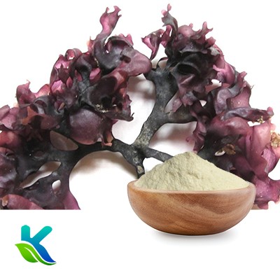Irish Moss Extract 10:1 by Hunan Naturext