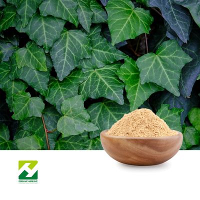 Ivy Leaf Extract 20% Hederacoside C by Organic Herb Inc