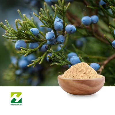 Juniper Berry Extract 10:1 by Organic Herb Inc