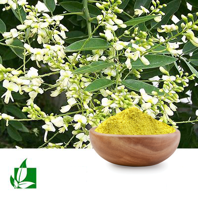 Kaempferol 98% by Shaanxi Green Bio-Engineering