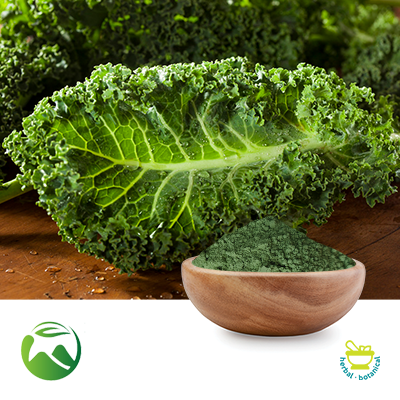 Kale Leaf Powder by Xi'an Herbs Valley