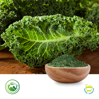 Kale Leaf Powder by Xi'an Herbs Valley
