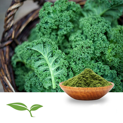 Kale Powder (Organic) by American Botanicals