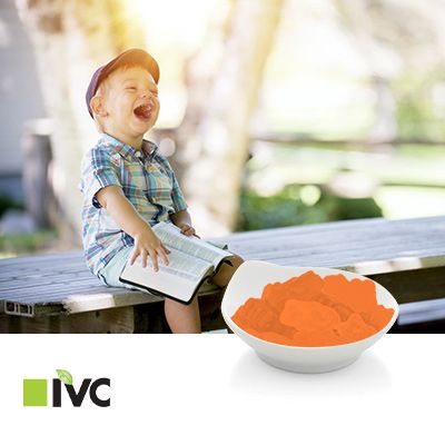 Kids' ABCDE Gummies (Natural Orange Flavor) by IVC Nutrition Corporation