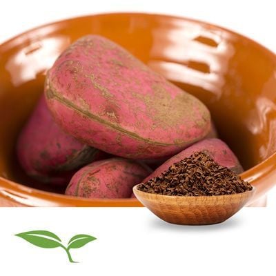 Kola Nut CFP  by American Botanicals