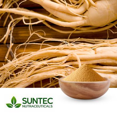 Korean Ginseng Root Extract 10:1 by Suntec Nutraceuticals