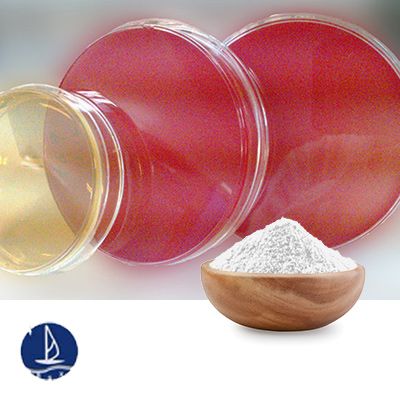 L-Alanyl-L-Cystine by Chengdu Baishixing Science and Technology