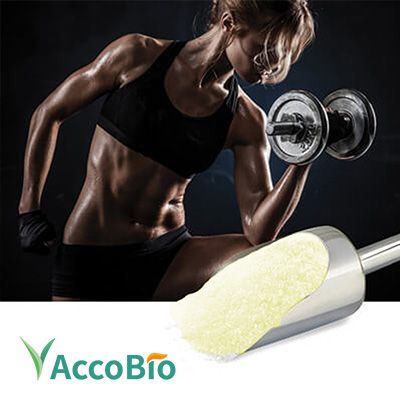 L-Arginine Alpha Ketoglutarate 2 1 by AccoBio