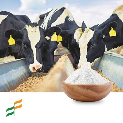L-Isoleucine Feed Grade by Xinjiang Fufeng