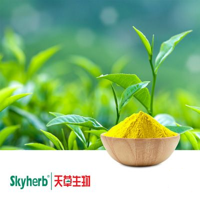 L-theanine 20% Natural by Skyherb