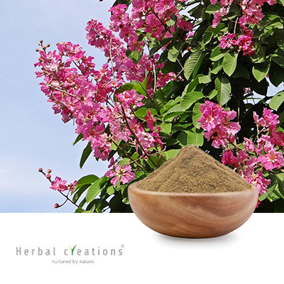 Lagerstroemia Speciosa Extract 1% Corosolic Acid Content By HPLC by Herbal Creations