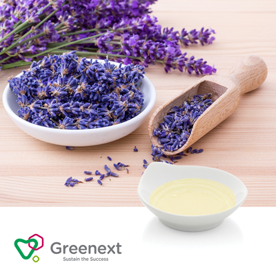 Lavandula Angustifolia Essential Oil by Greenext