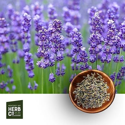 Lavender Flower (Extra) by Monterey Bay Herb