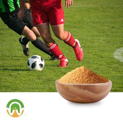Lecithin Granular (Sunflower) by Wellness Nutrition