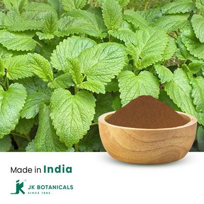 Lemon Balm extract 1% Rosmarinic acid By HPLC by JK Botanicals
