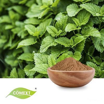 Organic Lemon Balm Extract 10:1 by Comext