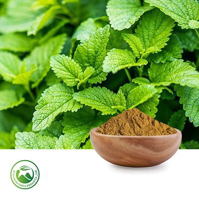 Lemon Balm Extract 10:1 by Xi'an Herbs Valley