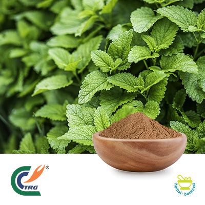 Lemon Balm Extract 5:1 by Hanzhong TRG