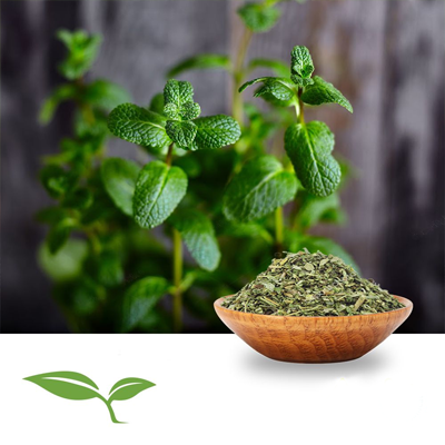 Lemon Balm Herb, TBC (Organic) by American Botanicals